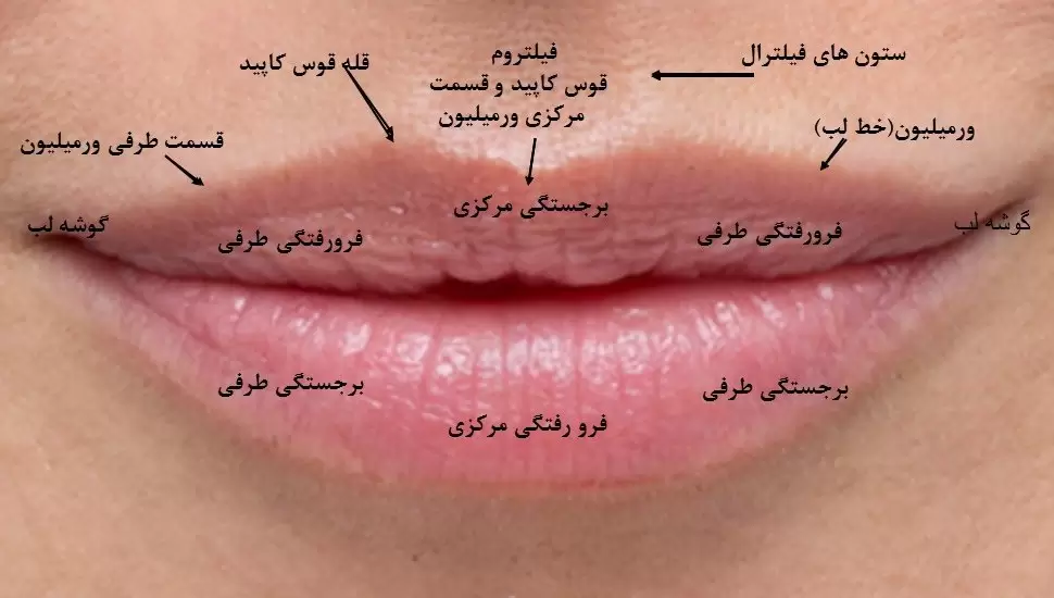 بهترین دکتر تزریق ژل در اصفهان